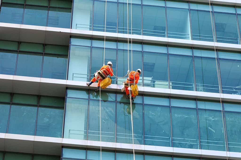 Professional Window Cleaner