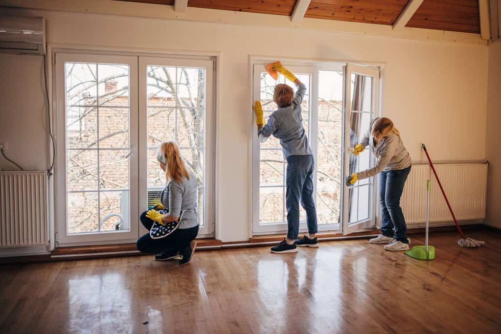 Best Window Cleaners